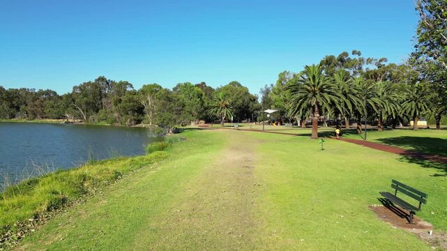 Low forward flight over green grass path along calm lake shore with park bench palm trees and people enjoying an urban park under clear blue sky