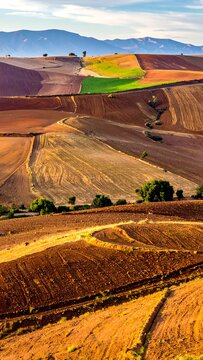 Farm fields aerial view.