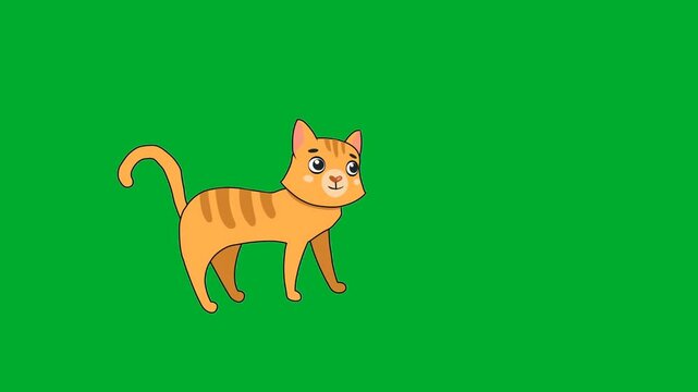 2d animation Ginger cat standing calmly in full length side view profile frame animation on green screen. Beautiful orange striped domestic kitten pet animal cartoon character posing pleasantly