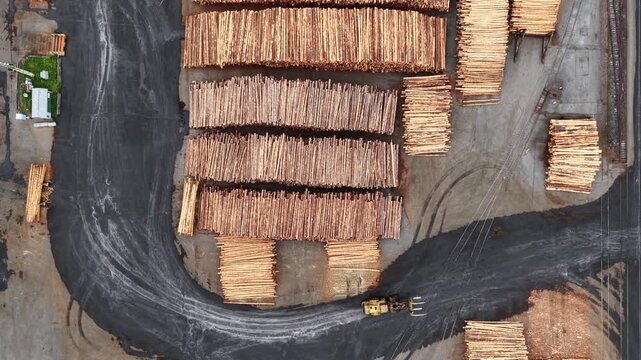 Overhead view of massive timber log stacks arranged in rows on wet industrial port yard with curved vehicle tracks and small wheel loader below. Olympia, Washington, USA. Aerial view. Top down Shot.