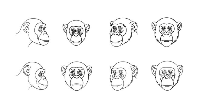 Set of chimpanzee head icons featuring various monochromatic styles