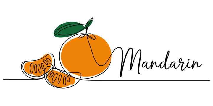 continuous one-line drawing Minimalist Mandarin Orange with Slices and Leaf, Flat Design Vector Illustration