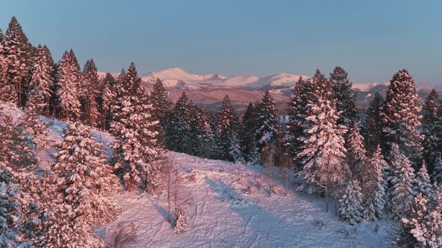 Mount Blue Sky majestic purple Front Range Rocky Mountains Evergreen Colorado aerial drone snowy forest trees spring pink morning sunrise alpenglow landscape Mt Evans wilderness parallax circle right
