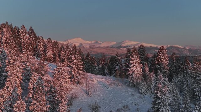 Mount Blue Sky majestic purple Front Range Rocky Mountains Evergreen Colorado aerial drone snowy forest trees hills spring pink morning sunrise alpenglow landscape Mt Evans wilderness upwards motion
