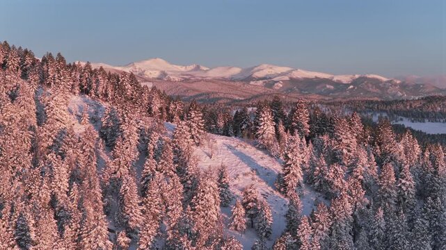 Mount Blue Sky spring pink morning sunrise alpenglow Conifer Evergreen Colorado aerial drone Denver Front Range Rocky Mountains Mt Evans landscape snowy forest trees valley hills layer forward upwards