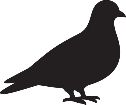 pigeon silhouette vector