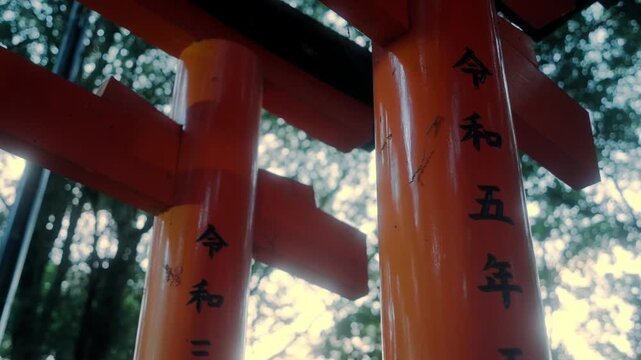 Camera pans low angle up Fushimi Inari torii pillars, revealing red lacquer and Japanese dedication inscriptions.