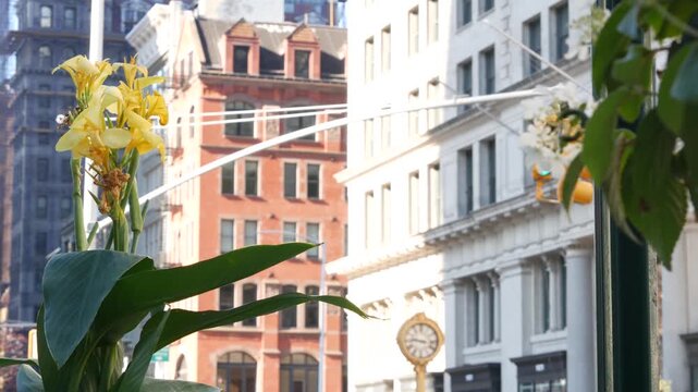 New York City Manhattan Midtown, United States of America. Street Clock on Broadway in Flatiron district near Madison Square Park. 5 fifth avenue Nomad area. Iconic golden clock. Autumn fall flowers