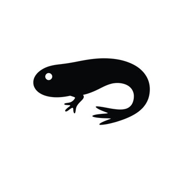 tadpole silhouette on white background black animal