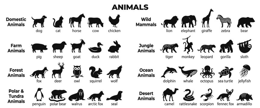 Animal types silhouette icon set with domestic pets, farm creatures, forest wildlife, polar species, ocean life, jungle animals, and desert dwellers