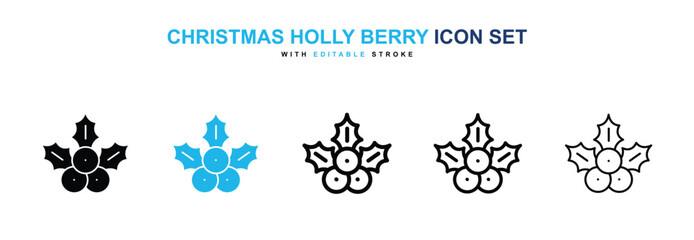 Christmas holly berry icon © mila