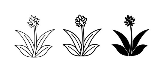 Fototapeta premium Lavender Plant Icons, Line Art and Silhouette Vector Graphics