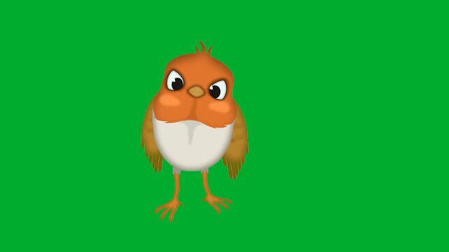 2d animated Robin bird cartoon character standing proudly looking straight forward animation on green screen. Beautiful small orange sparrow nightingale forest songbird animal portrait layout avatar