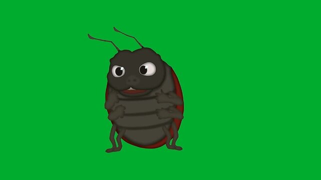 2d animated Bug character standing alone looking around curiously in distant view layout animation on green screen. Small scale black beetle insect cartoon mascot posing on a chroma key background