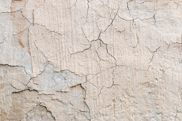 Fototapeta premium Light Gray Stucco Wall Texture. Abstract Background
