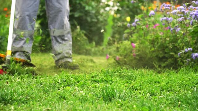 Grass cutter moves through vibrant green lawn. Blades spin, sending grass fragments flying. Colorful flowers frame the gardening scene. Person focuses on mowing, maintaining garden