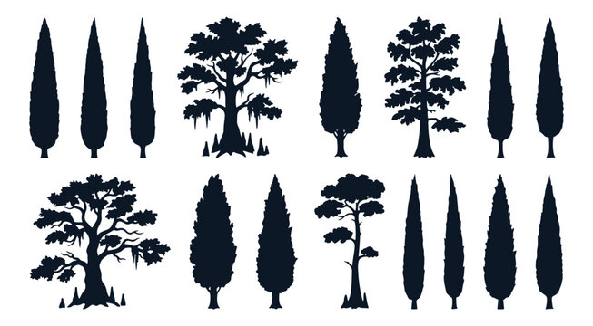 Italian Cypress and Southern Swamp Trees Silhouette Vector Set