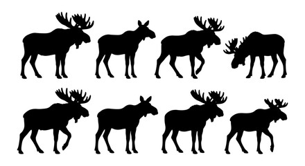 Fototapeta premium Set of 8 Silhouette Moose Icons, Wildlife Animal Vector Graphics, Majestic Antlered Mammal Illustrations for Nature and Outdoor Themes