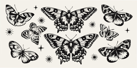 black and white butterfly illustrations on beige background © Shahabuddin