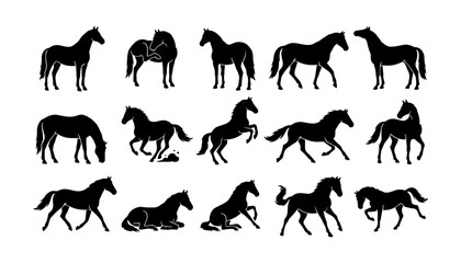 Fototapeta premium Collection of various horse silhouettes