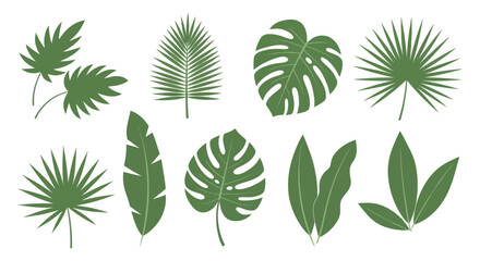 Fototapeta premium Collection of various green tropical plant leaves.