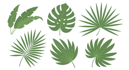 Collection of various green tropical plant leaves. © Ndog