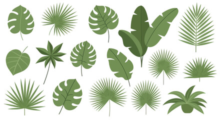 Fototapeta premium Collection of various green tropical plant leaves and foliage.