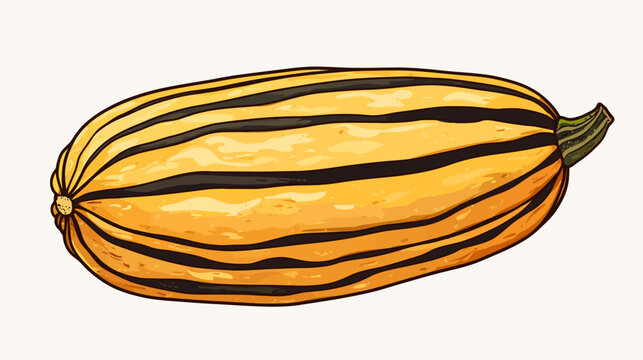 Colorful illustration of a long orange squash with dark stripes and green stem!!