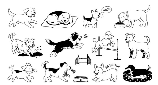  Colorful Dog Behavior Clipart Collection Vector Illustration