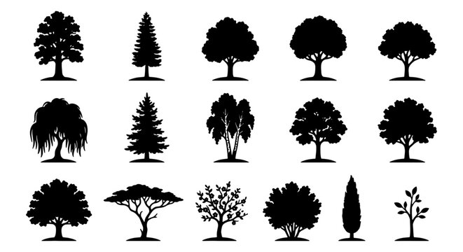 Diverse Tree Silhouettes Collection, Vector Icons for Nature and Landscape Design, Botanical Elements Set