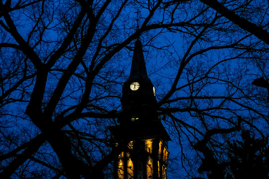 The Subotica City Hall. A clock tower illuminated at night, surrounded by bare tree branches against a deep blue sky in Subotica, Serbia.