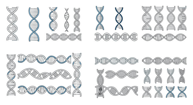 Collection of DNA double helix structures and genetic sequence strands in different styles and orientations.