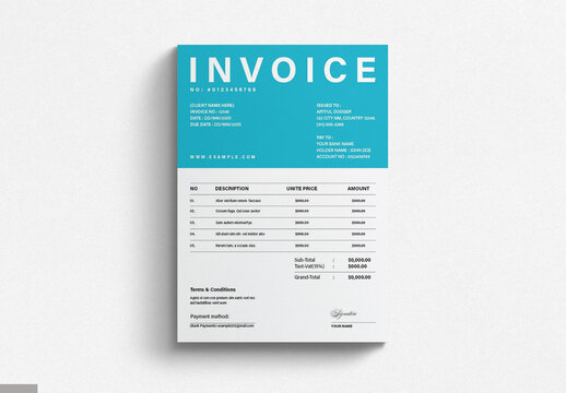 Invoice Balance Sheet & Dashbord Design Template