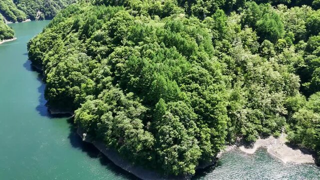 Aerial view of emerald river winding through dense forest. Green canopy blankets rolling hills beside the water. Tree tops sway gently in the breeze, peaceful and serene