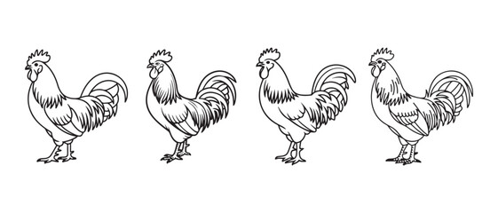 Four hand drawn rooster line art illustrations set. © CreatetiveDesignX