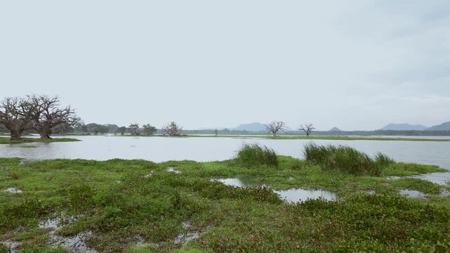 Sri Lanka Tissa Lake Drone