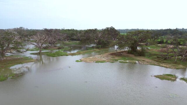 Sri Lanka Tissa Lake Drone