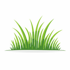 Fototapeta premium Green Grass Illustration