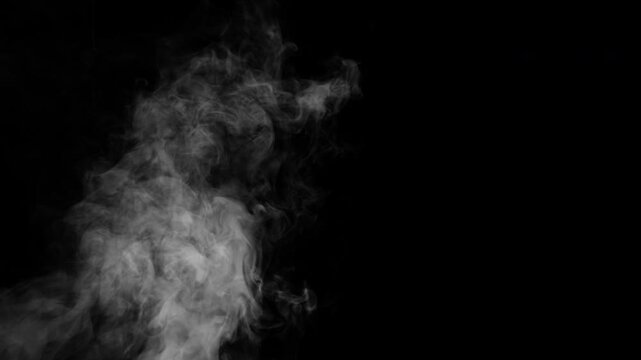 Realistic white fog billowing on left frame and dispersing, cinematic vapor animation on transparent background 4K