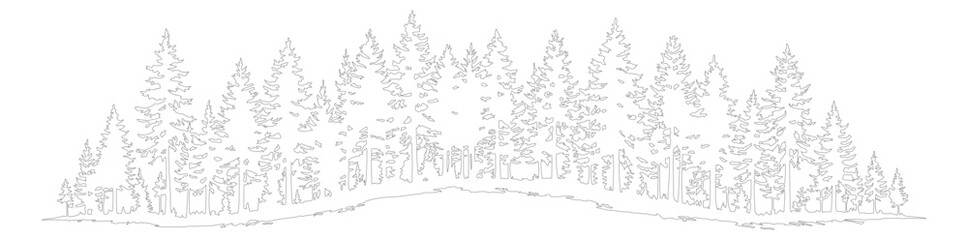 Minimalist pine forest line art vector, hand drawn evergreen tree landscape illustration, monochrome coniferous woodland sketch for nature branding © Faisal