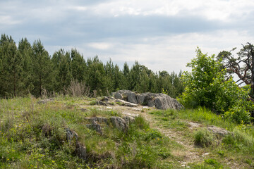 Fototapeta premium Rocky outcrop with pine forest and cloudy sky