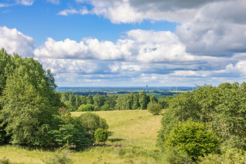 Obraz premium View at a meadow with lush green trees