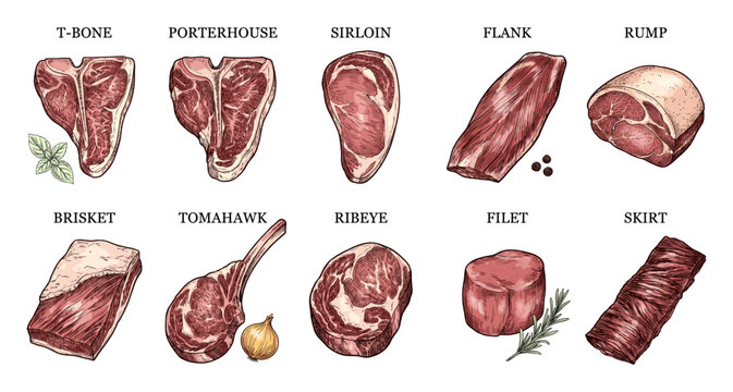 Beef steak cut sketch set with ribeye tomahawk t bone and porterhouse