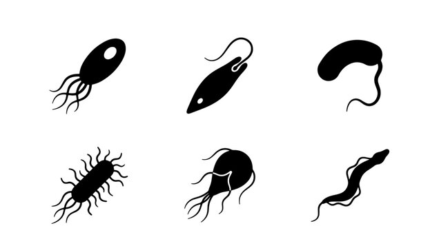 Microorganism Icons, Diverse Bacteria and Protozoa Silhouettes, Microbe Vector Set for Science and Health