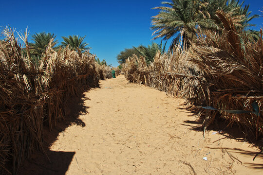 Small village of Tawareg in Sahara desert, Mauritania, West Africa