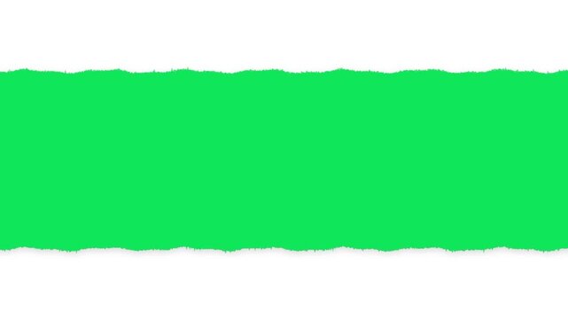 Green torn paper strip isolated on white background