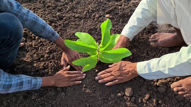 Grandfather and grandson planting a young sapling together. Environmental conservation and family legacy concept