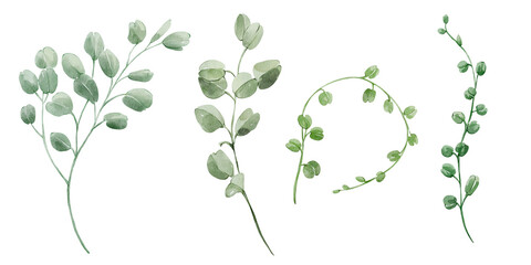 Spring summer greenery set  individual botanical elements. Watercolor leaves clipart  eucalyptus branch herbal plant. Wedding invitation  fashion  background  textile. © yuliia lashevska