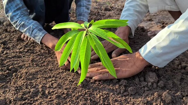 Grandfather and grandson planting a young sapling together. Environmental conservation and family legacy concept