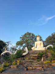 Obraz premium buddhist temple in thailand